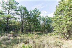 property photo for Stone Bridge Phase V Tract 397, 11.19 acres for sale in LatimerHaskell County, Oklahoma