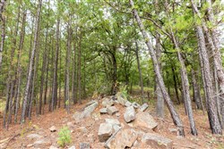 property photo for Stone Bridge Phase V Tract 398, 12.88 acres for sale in LatimerHaskell County, Oklahoma