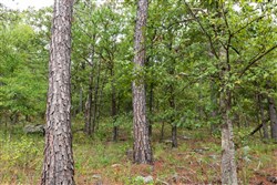 property photo for Stone Bridge Phase V Tract 398, 12.88 acres for sale in LatimerHaskell County, Oklahoma