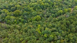 property photo for Stone Bridge Phase V Tract 398, 12.88 acres for sale in LatimerHaskell County, Oklahoma