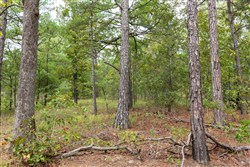 property photo for Stone Bridge Phase V Tract 398, 12.88 acres for sale in LatimerHaskell County, Oklahoma