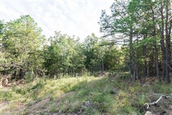 property photo for Stone Bridge Phase V Tract 398, 12.88 acres for sale in LatimerHaskell County, Oklahoma