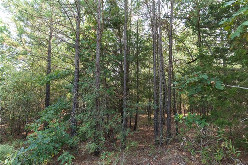 Stone Bridge Phase V Tract 399