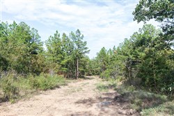 Stone Bridge Phase V Tract 399