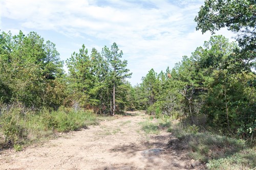 Stone Bridge Phase V Tract 399