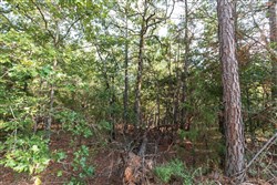 Stone Bridge Phase V Tract 399