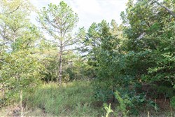 Stone Bridge Phase V Tract 399