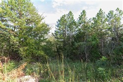Stone Bridge Phase V Tract 400