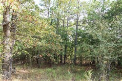 Stone Bridge Phase V Tract 400
