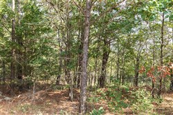 Stone Bridge Phase V Tract 400