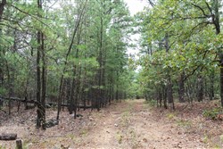 Stone Bridge Phase V Tract 401