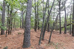 Stone Bridge Phase V Tract 401