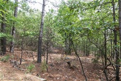 Stone Bridge Phase V Tract 401