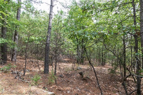 Stone Bridge Phase V Tract 401