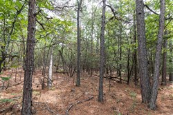 Stone Bridge Phase V Tract 401