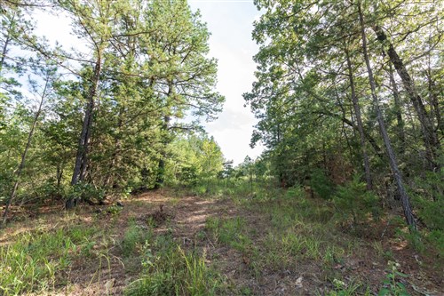 Stone Bridge Phase V Tract 402