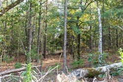 Stone Bridge Phase V Tract 402