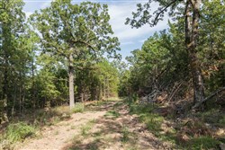 Stone Bridge Phase V Tract 402