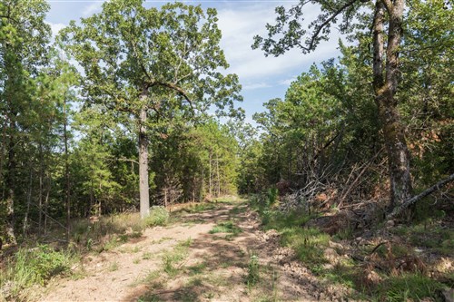 Stone Bridge Phase V Tract 402