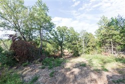 Stone Bridge Phase V Tract 402