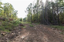 Stone Bridge Phase V Tract 402