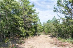 Stone Bridge Phase V Tract 402