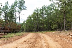 Stone Bridge Phase V Tract 403