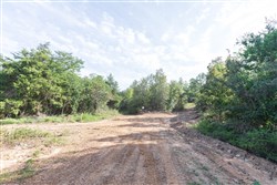 Stone Bridge Phase V Tract 403