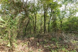 Stone Bridge Phase V Tract 404