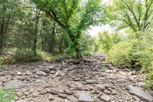 Stone Bridge Phase V Tract 404