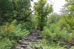 Stone Bridge Phase V Tract 404