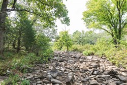 Stone Bridge Phase V Tract 404