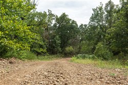property photo for Stone Bridge Phase V Tract 405, 7.38 acres for sale in LatimerHaskell County, Oklahoma