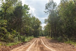 property photo for Stone Bridge Phase V Tract 405, 7.38 acres for sale in LatimerHaskell County, Oklahoma