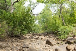 property photo for Stone Bridge Phase V Tract 405, 7.38 acres for sale in LatimerHaskell County, Oklahoma
