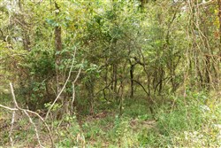 property photo for Stone Bridge Phase V Tract 405, 7.38 acres for sale in LatimerHaskell County, Oklahoma