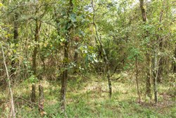 property photo for Stone Bridge Phase V Tract 405, 7.38 acres for sale in LatimerHaskell County, Oklahoma