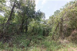 Stone Bridge Phase V Tract 407