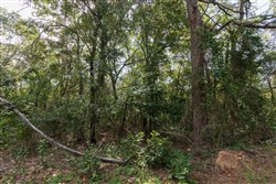 Stone Bridge Phase V Tract 407