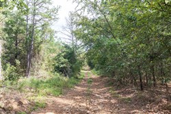 Stone Bridge Phase V Tract 407