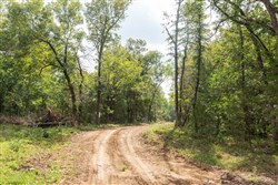 Stone Bridge Phase V Tract 408