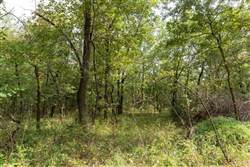 Stone Bridge Phase V Tract 408