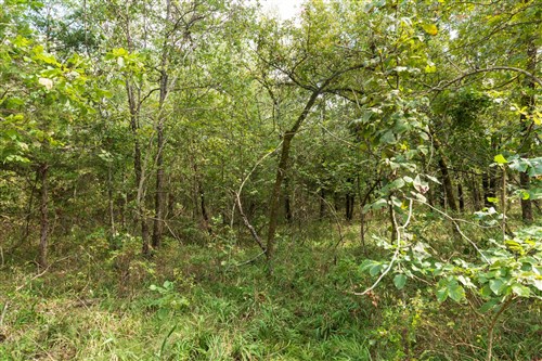 Stone Bridge Phase V Tract 408