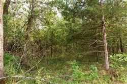 Stone Bridge Phase V Tract 408