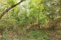 Stone Bridge Phase V Tract 408
