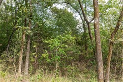 Stone Bridge Phase V Tract 408