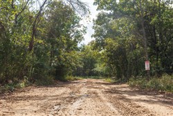 Stone Bridge Phase V Tract 409