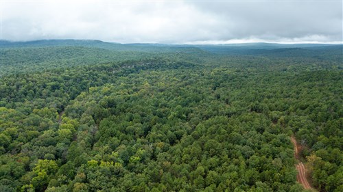 Stone Bridge Phase V Tract 409