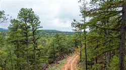 Stone Bridge Phase V Tract 409