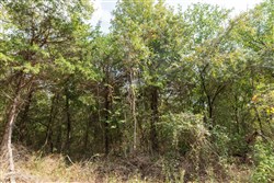 Stone Bridge Phase V Tract 409